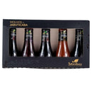 Kit com 5 Miniaturas de Molhos de Jabuticaba 60ml cada
